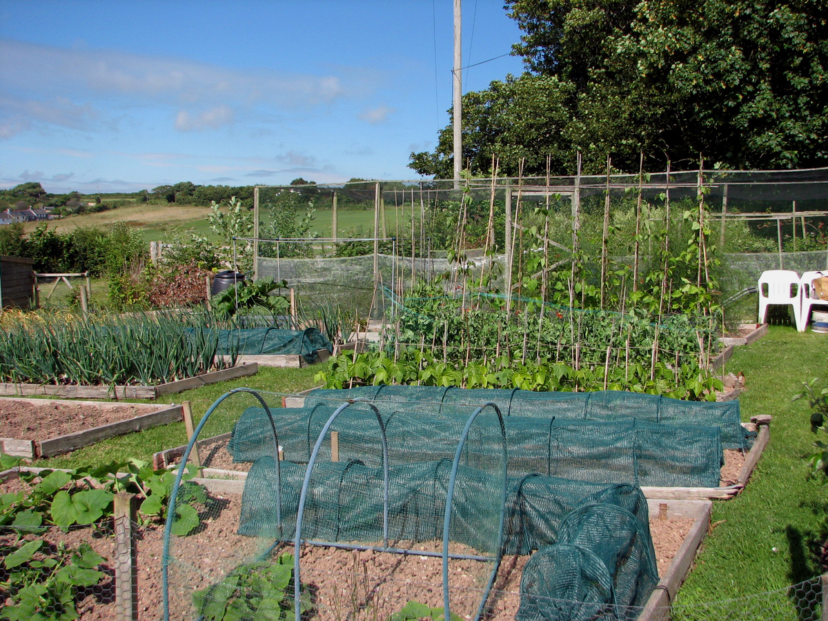 Plot 39 July 2014